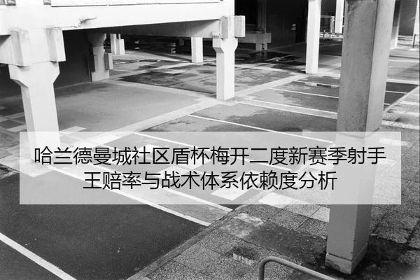 ha-lan-de-man-cheng-she-qu-dun-bei-mei-kai-er-du-xin-sai-ji-she-shou-wang-pei-lv-yu-zhan-shu-ti-xi-yi-lai-du-fen-xi-2-493.jpg